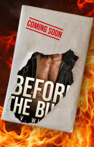 BTBcover Burning Lies ebook Cover Coming Soon